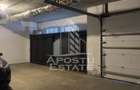 Apartament 3 camere de inchiriat, zona Sagului, Timisoara - 11