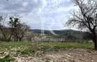 Casa cu livada | teren 2800 mp | Stracos | Bihor - 1