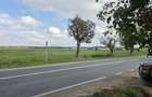 Teren 2024 mp - Calea Santandrei, Oradea - 6