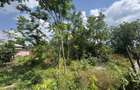 Teren Intravilan 1.188 mp - Parcelabil - Otopeni Odaile | Str. VERONICA - 1