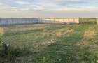 Teren de vanzare Tunari-Dimieni 800m2 cu autorizatie de constructie - 3