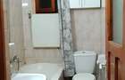 Inchiriere Apartament 1 camera, Frumoasa - Nicolina - 4