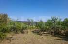 Teren constructii, 2493 mp, zona Central - 5
