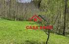 Teren extravilan in Brebu(Pietriceaua)--9104mp--50.000e - 15