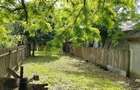 Casă cu 5 camere cu Teren 1500 Mp în Roșiori - 9