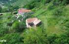 Casa traditionala - o investitie cu potential de dezvoltare, Capalna, - 5