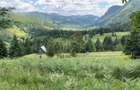 Teren Intravilan la Munte cu vedere panoramica - 2