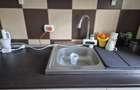 Apartament cu gradina, foisor si bucatarie de vara in Vidra - 8