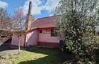 Casa cu gradina si foisor in Brazii Arad - 6