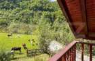 Casa de vacanta cu 4 camere, 1470 mp teren, Sugag - 3