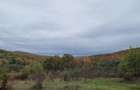 Casa inconjurata de natura, 15 minute de Curtea de Arges