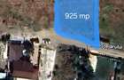 Teren 925mp intravilan com. Domnesti Sat Teghes - 2