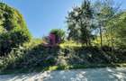 Teren intravilan 3000 mp | Valea Avrigului | deschidere 80 ml - 3