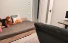 Vila Neva 4 camere Green City-1 Decembrie - 3