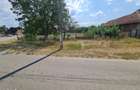 Vand Teren Intravilan in Centrul Localitati Rapsig Jud. ARAD 1250 mp. - 9