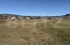 Teren intravilan in localitatea Hereclean in suprafata de 5800 mp - 5