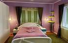Casa individuala de vanzare cu spa?iu comercial inclus in Blaj Centru - 10