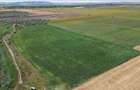 Vand teren agricol 4,6398 HA Iazurile Valea Nucarilor Tulcea - 2