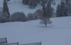 Teren de vanzare la munte in Bucovina