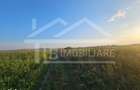 Teren intravilan, 1476 mp, Zona Ungheni - 1