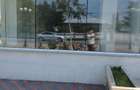 De inchiriat spatiu comercial in Dumbraveni, jud. Suceava. Suprafata 50 mp. Pret 500 euro negociabil - 4