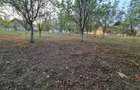 Vand Casa / Sp.Comercial in Loc. Rapsig Jud. Arad, 27ml! 64 km de Arad
