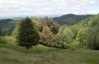 Teren intravilan de vanzare in Telega - 3