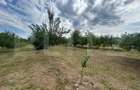 Teren intravilan, 6796 mp, zona Crangurile de Jos - 7