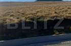 Teren | 913 mp | Intravilan | Moroeni | Drumul Babelor | - 1