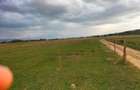 vand teren intravilan - 2