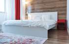Apartament cu 4 camere cu vedere spre fântânile de la Piața Unirii - 15