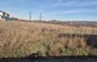 Proprietar Teren intravilan 550 mp, deschidere excelenta 26 ml Zona Auchan Bradu (Intrarea Dafinului) - 3
