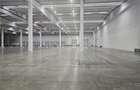 Spatiu Industrial - 5000 mp - Logistica - Depozitare - Distributie - 3