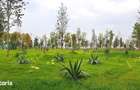 Apartament nou de vanzare, langa Parc Tudor Arghezi, Sector 4 - 4