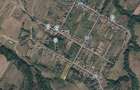 Teren intravilan 6.537 mp la asfalt, aproape de Lacul Surduc Bucovat (Dumbrava) - 1