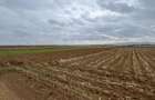 Teren extravilan 2500 mp,cu acces la Centura ,Radauti - 5