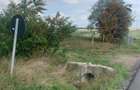 Teren de vanzare la ratos - 4