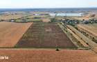 Teren 8.648 mp | Intravilan + extravilan | Deschidere 21 m | Mosteni
