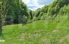 EXCLUSIVITATE! Teren extravilan, 5.400 mp, Comuna Iara, Valea Vadului - 3