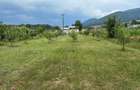 Vand teren- str Stramutati, sat Bistrita, jud Neamt - 3