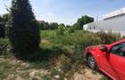 Teren de 3000 mp, în Bucov - 3