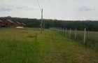 Teren cu casu?a de lemn,320 mp, langa padure ,Zona agrement Vladimirescu - 4