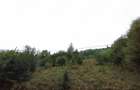 Teren intravilan Rusca Montana 7100mp