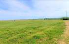 Ocazie ! Eforie Nord 3 Loturi 517 Mp. 19.500 Euro Ideal Investitie ! - 9