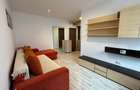 Apartament 2 camere, etaj 2/5, mobilat utilat, centrala proprie - 10