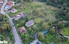 Valea Borcutului casa cu teren 9.000 mp - 3