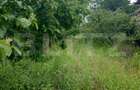 Teren intravilan, de vanzare, 2474 mp, zona Voinesti - 3