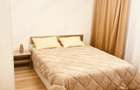 De inchiriat Apartament 2 cam Fetesti Gara - 3