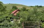 Cabana DE VANZARE In sat Bobohalma - 3