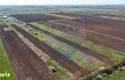 Vanzare teren intravilan 500 mp Sabareni / Strada Orhideelor - 9
